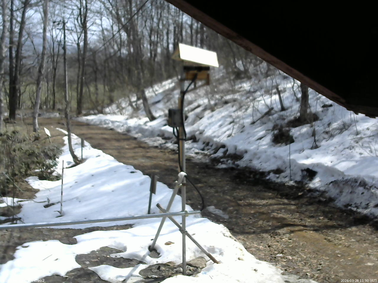 長野県菅平高原 ゆたか山荘 南側 2026/03/28 11:30