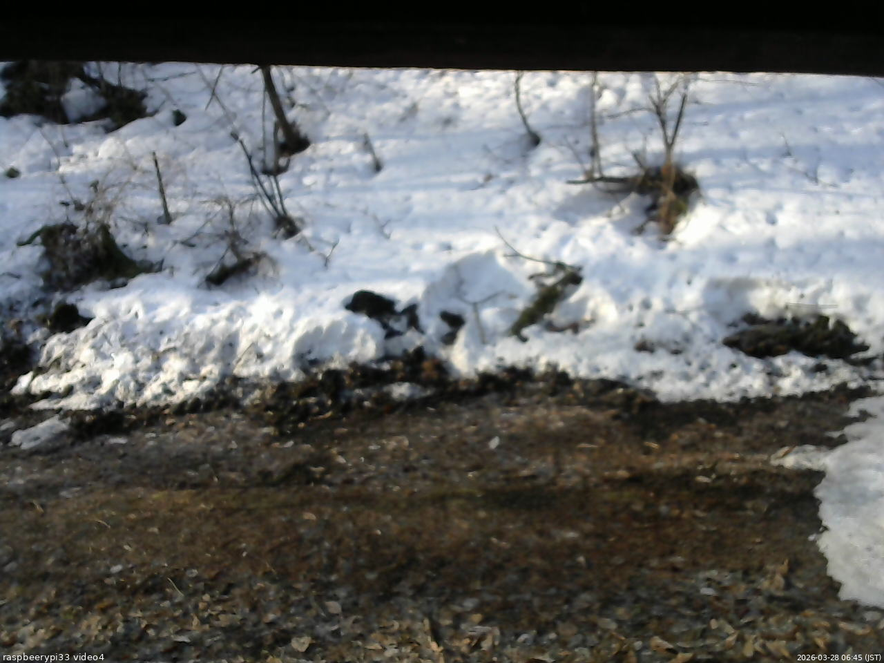 長野県菅平高原 ゆたか山荘 東側(坂下) 2026/03/28 06:45