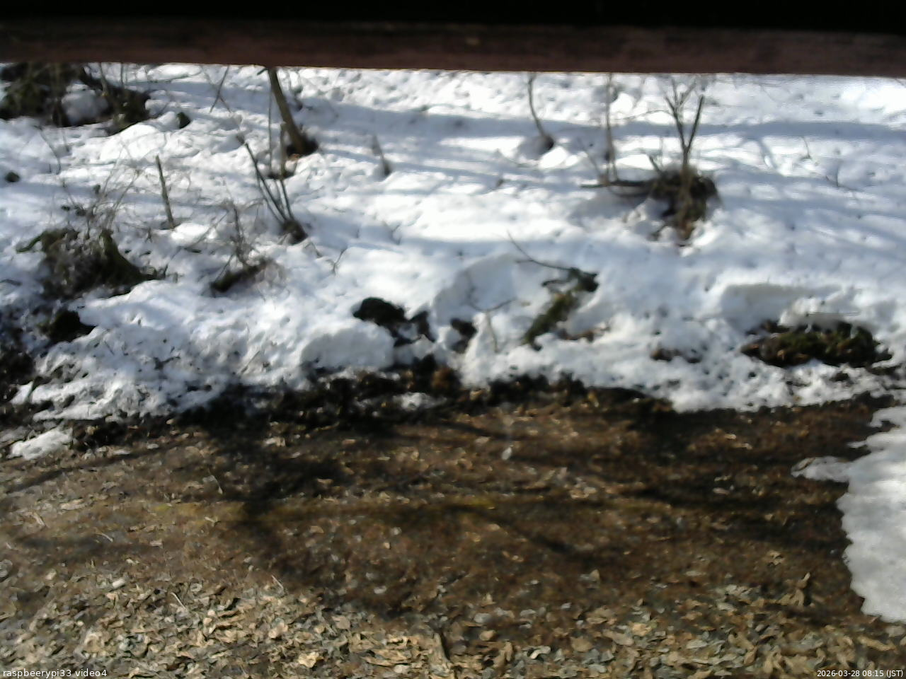 長野県菅平高原 ゆたか山荘 東側(坂下) 2026/03/28 08:15