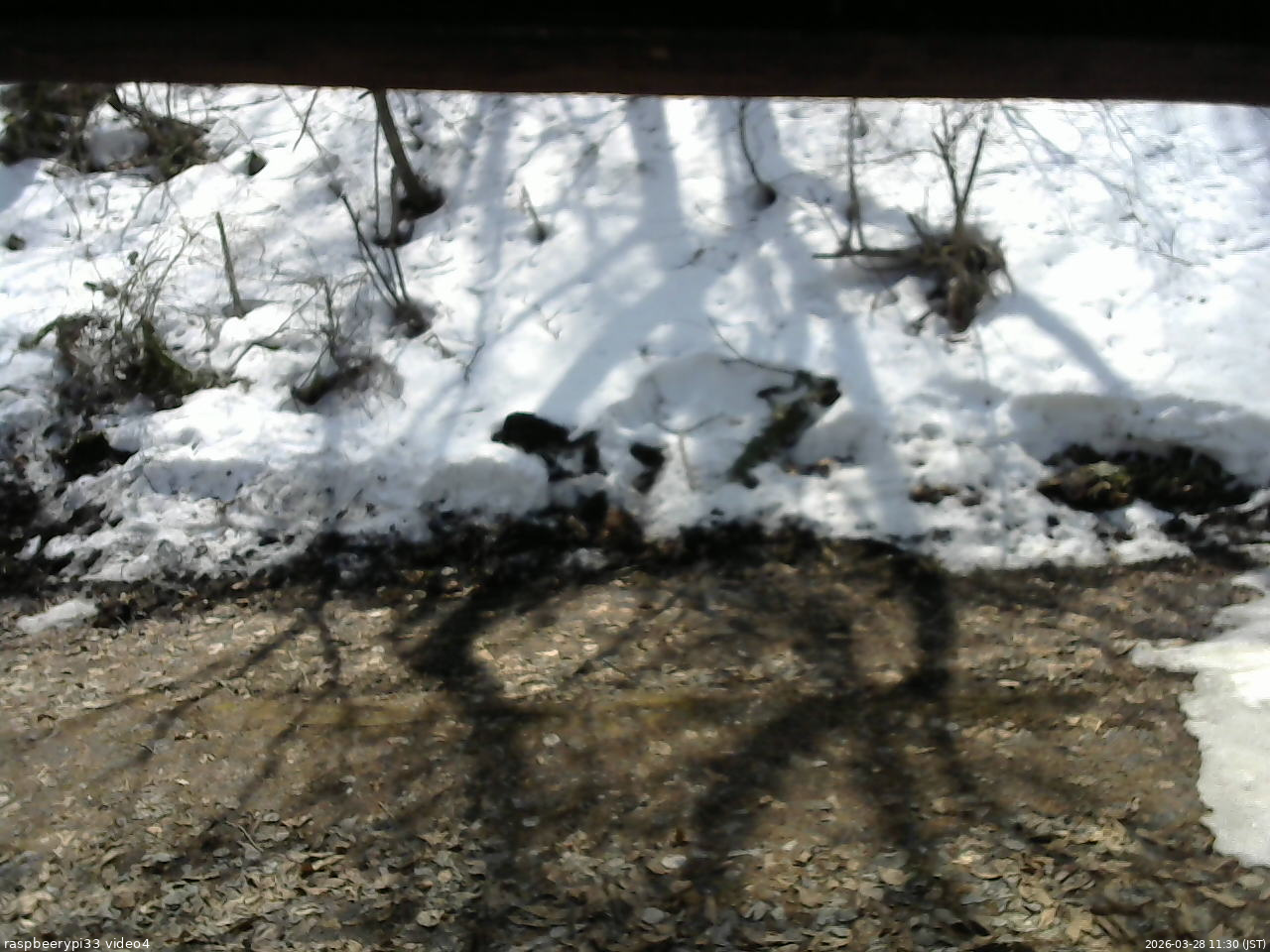 長野県菅平高原 ゆたか山荘 東側(坂下) 2026/03/28 11:30