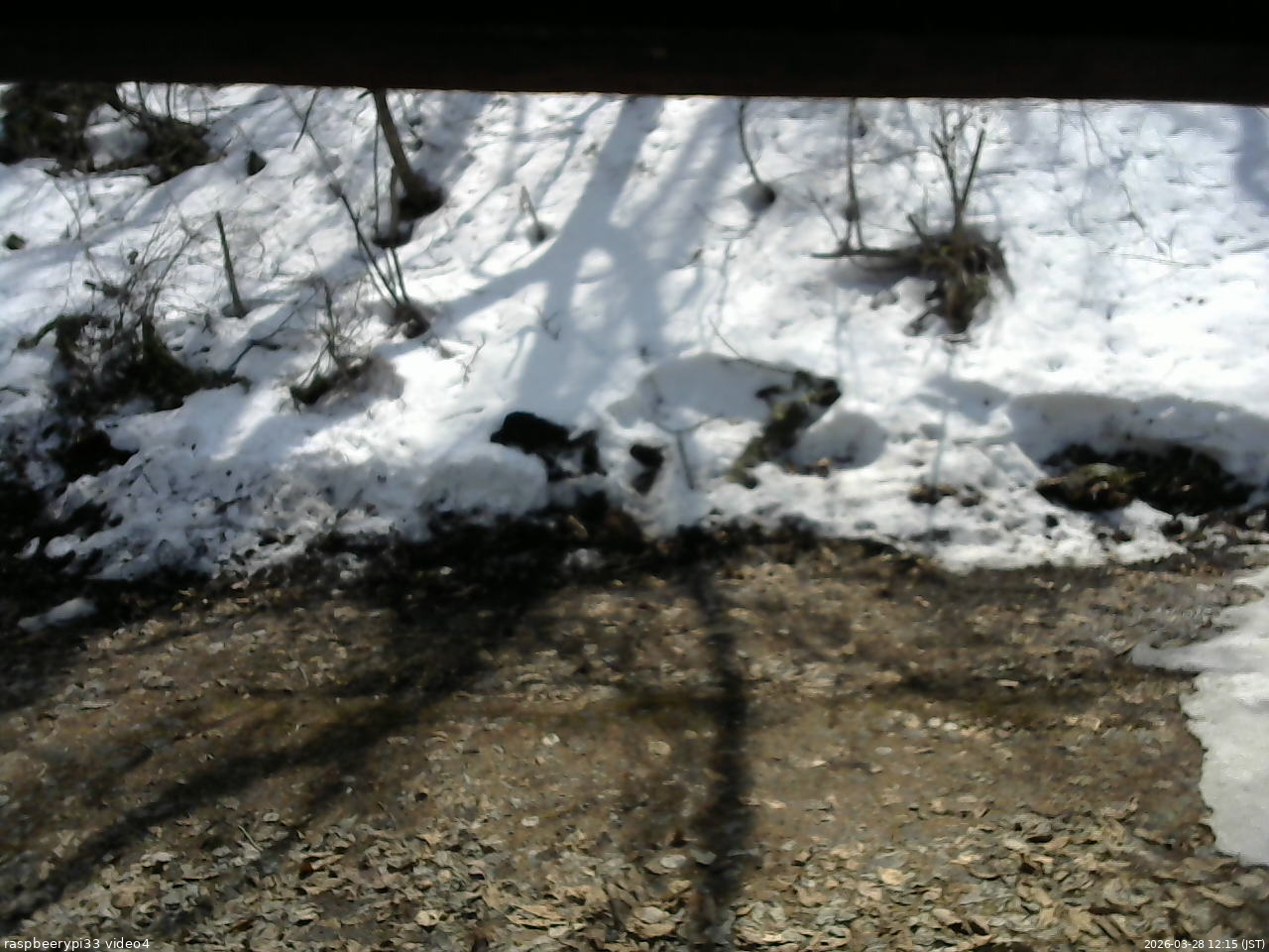 長野県菅平高原 ゆたか山荘 東側(坂下) 2026/03/28 12:15