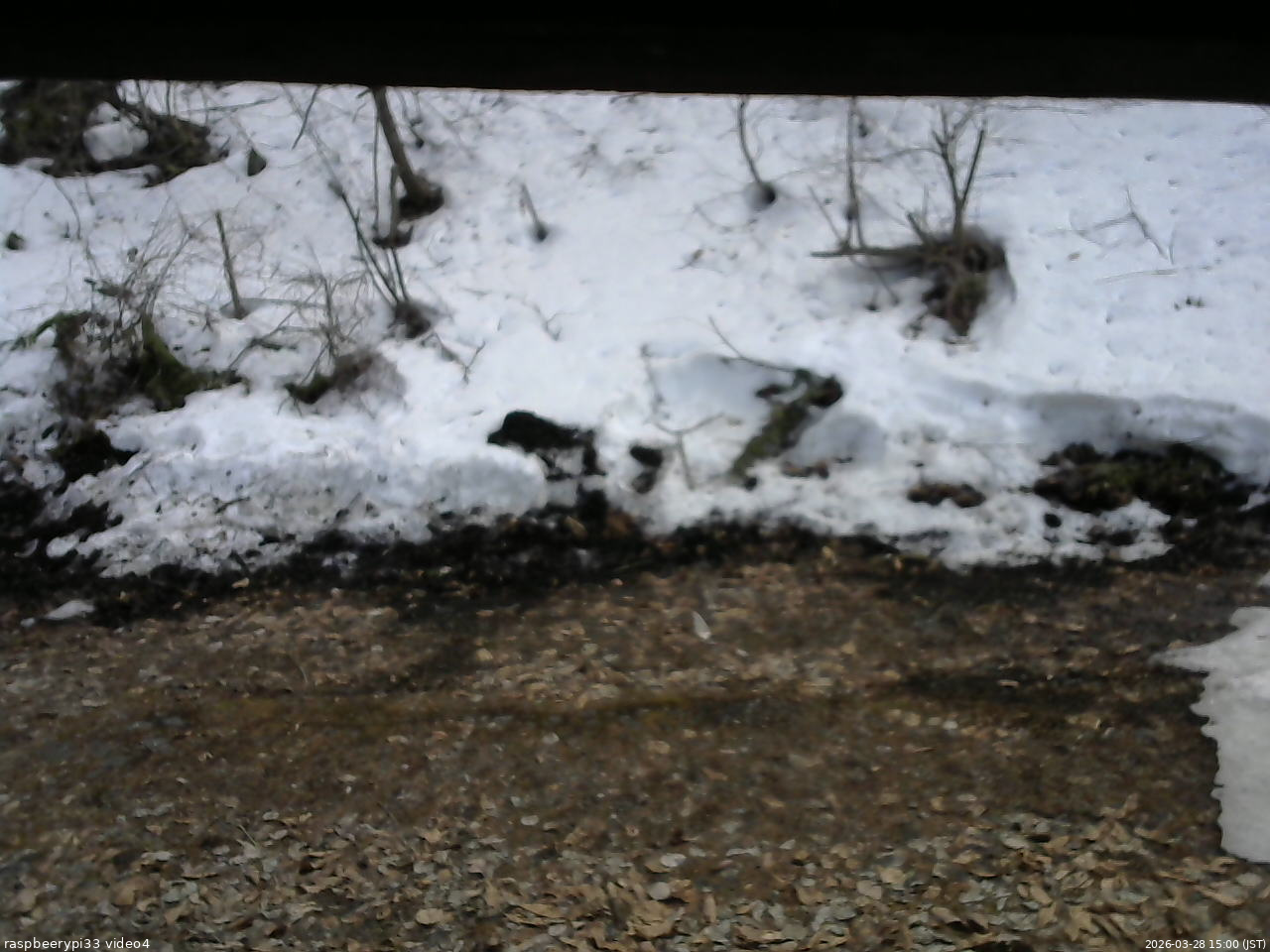 長野県菅平高原 ゆたか山荘 東側(坂下) 2026/03/28 15:00