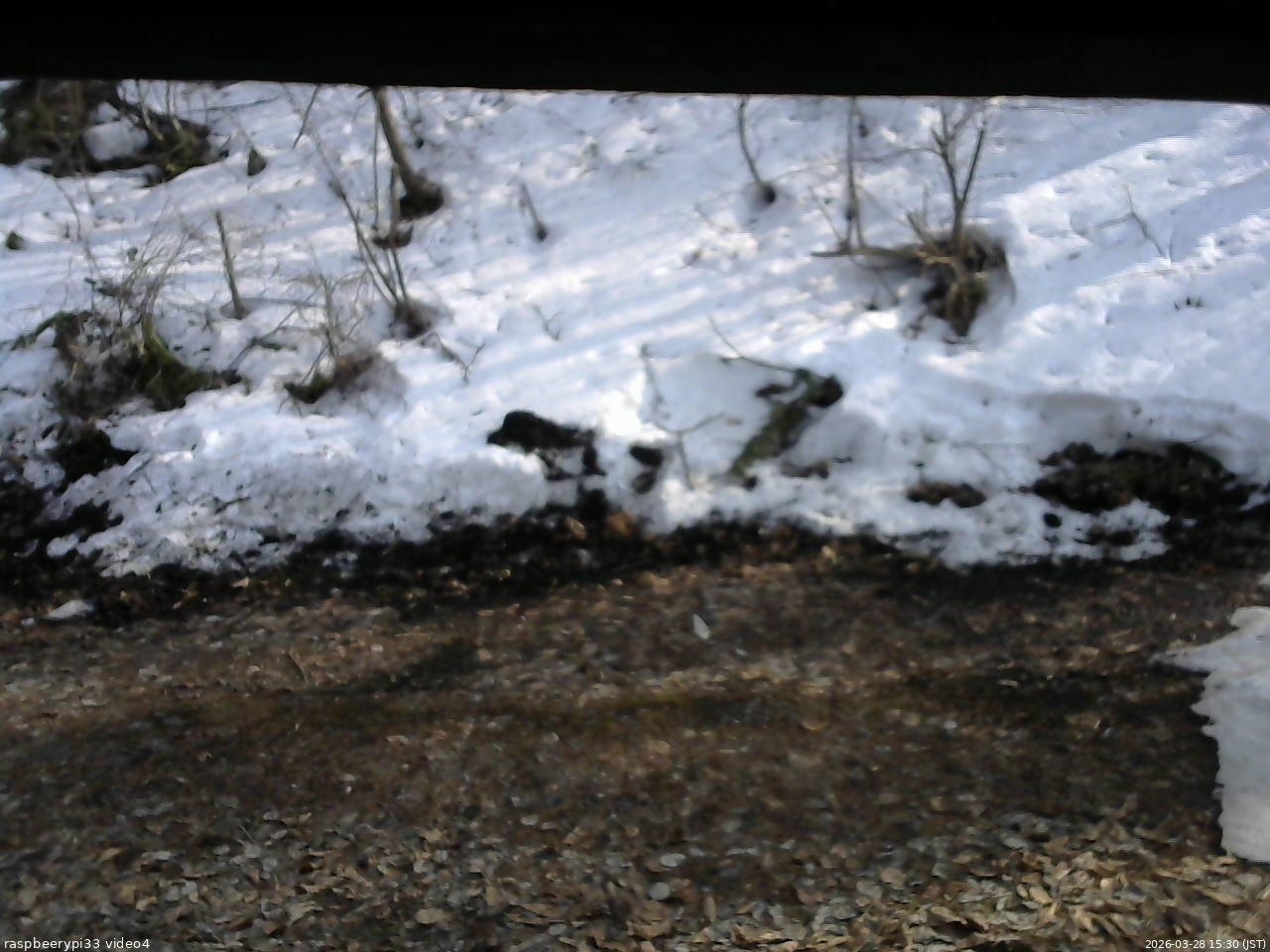 長野県菅平高原 ゆたか山荘 東側(坂下) 2026/03/28 15:30