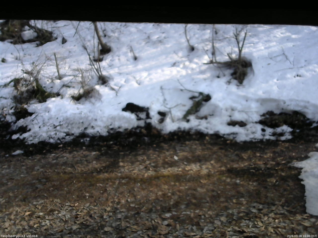 長野県菅平高原 ゆたか山荘 東側(坂下) 2026/03/28 16:00