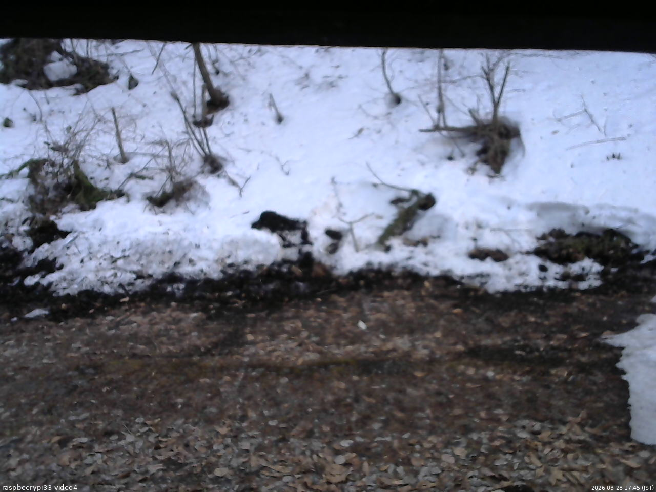 長野県菅平高原 ゆたか山荘 東側(坂下) 2026/03/28 17:45