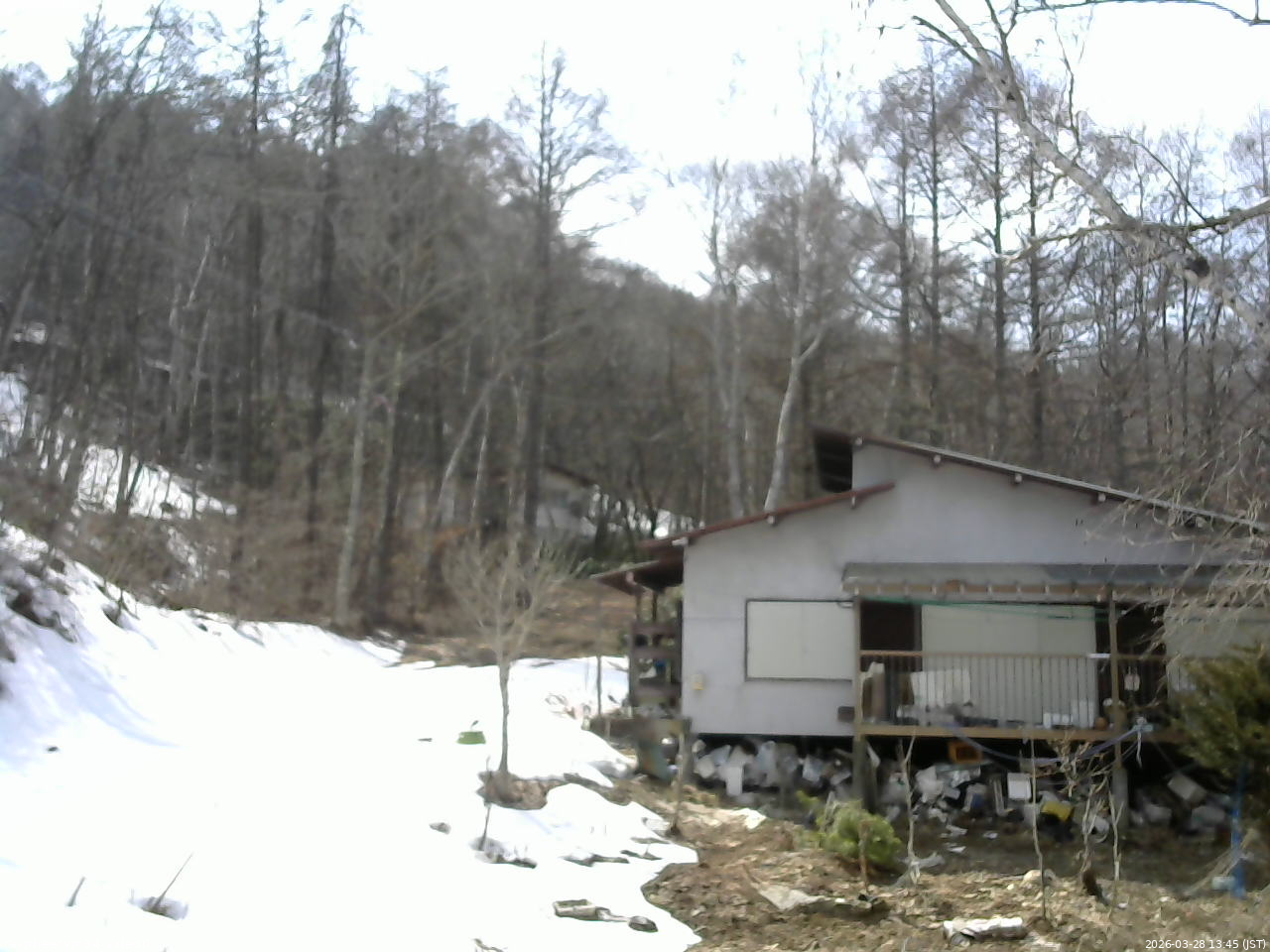 長野県菅平高原 ゆたか山荘 西側(坂上) 2026/03/28 13:45