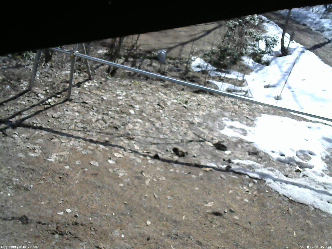 長野県菅平高原 ゆたか山荘 駐車場 2026/03/28 08:45