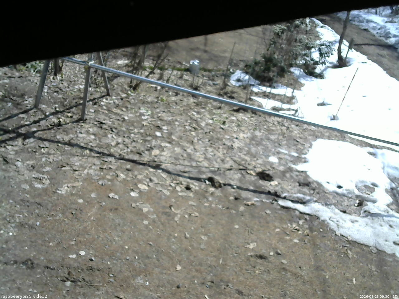 長野県菅平高原 ゆたか山荘 駐車場 2026/03/28 09:30