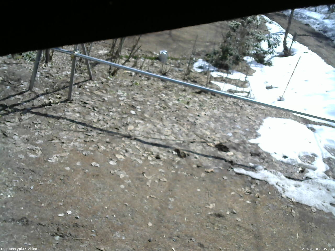長野県菅平高原 ゆたか山荘 駐車場 2026/03/28 09:45