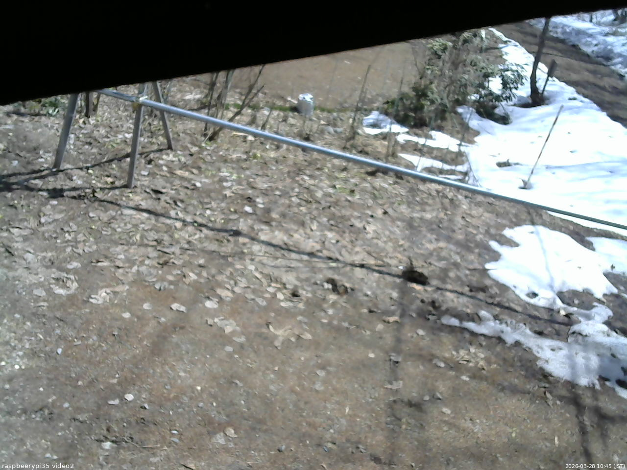長野県菅平高原 ゆたか山荘 駐車場 2026/03/28 10:45