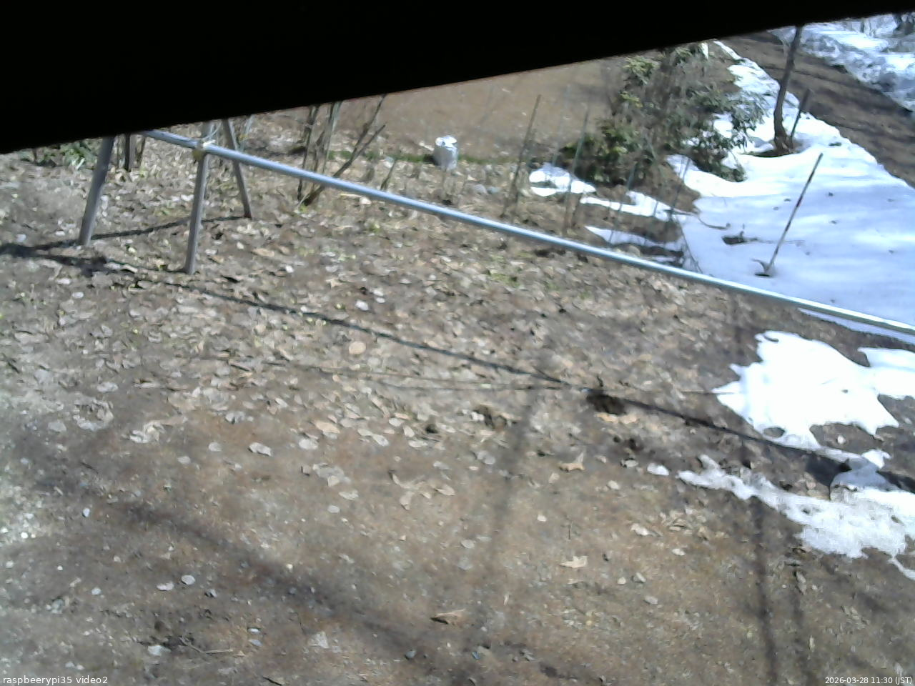 長野県菅平高原 ゆたか山荘 駐車場 2026/03/28 11:30