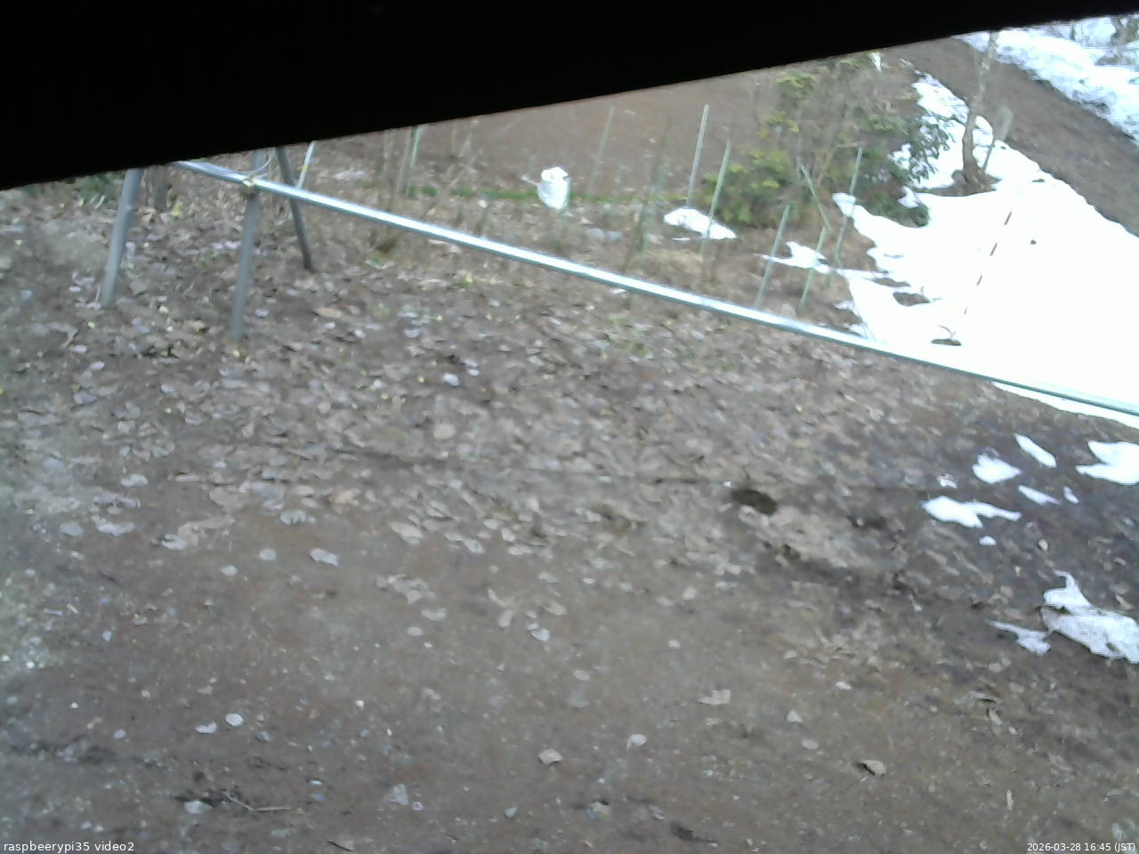 長野県菅平高原 ゆたか山荘 駐車場 2026/03/28 16:45