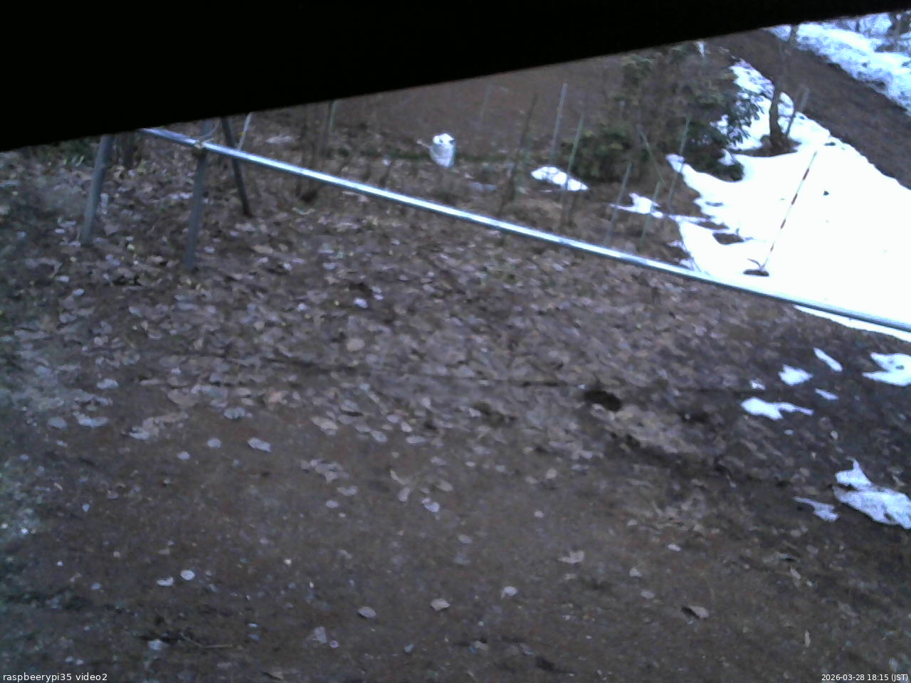 長野県菅平高原 ゆたか山荘 駐車場 2026/03/28 18:15