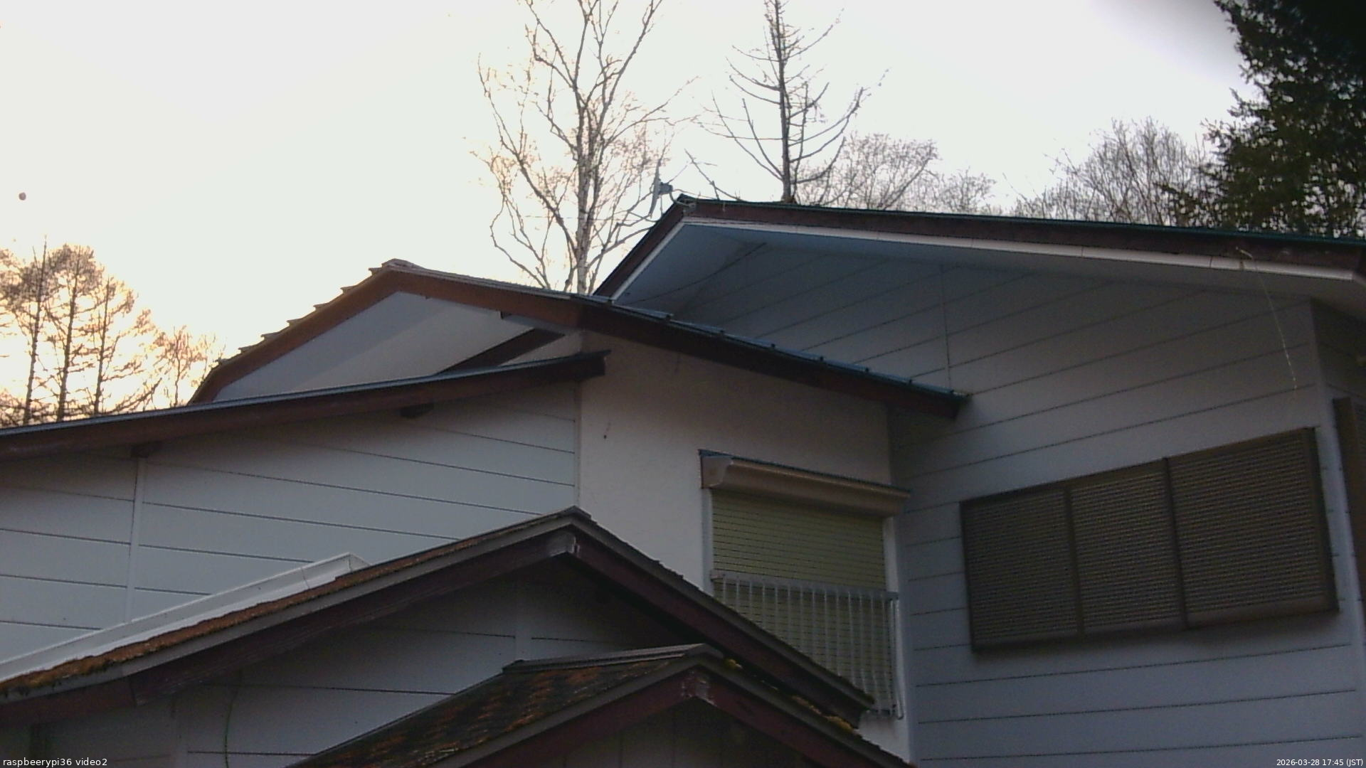 長野県菅平高原 ゆたか山荘 駐車場奥 2026/03/28 17:45