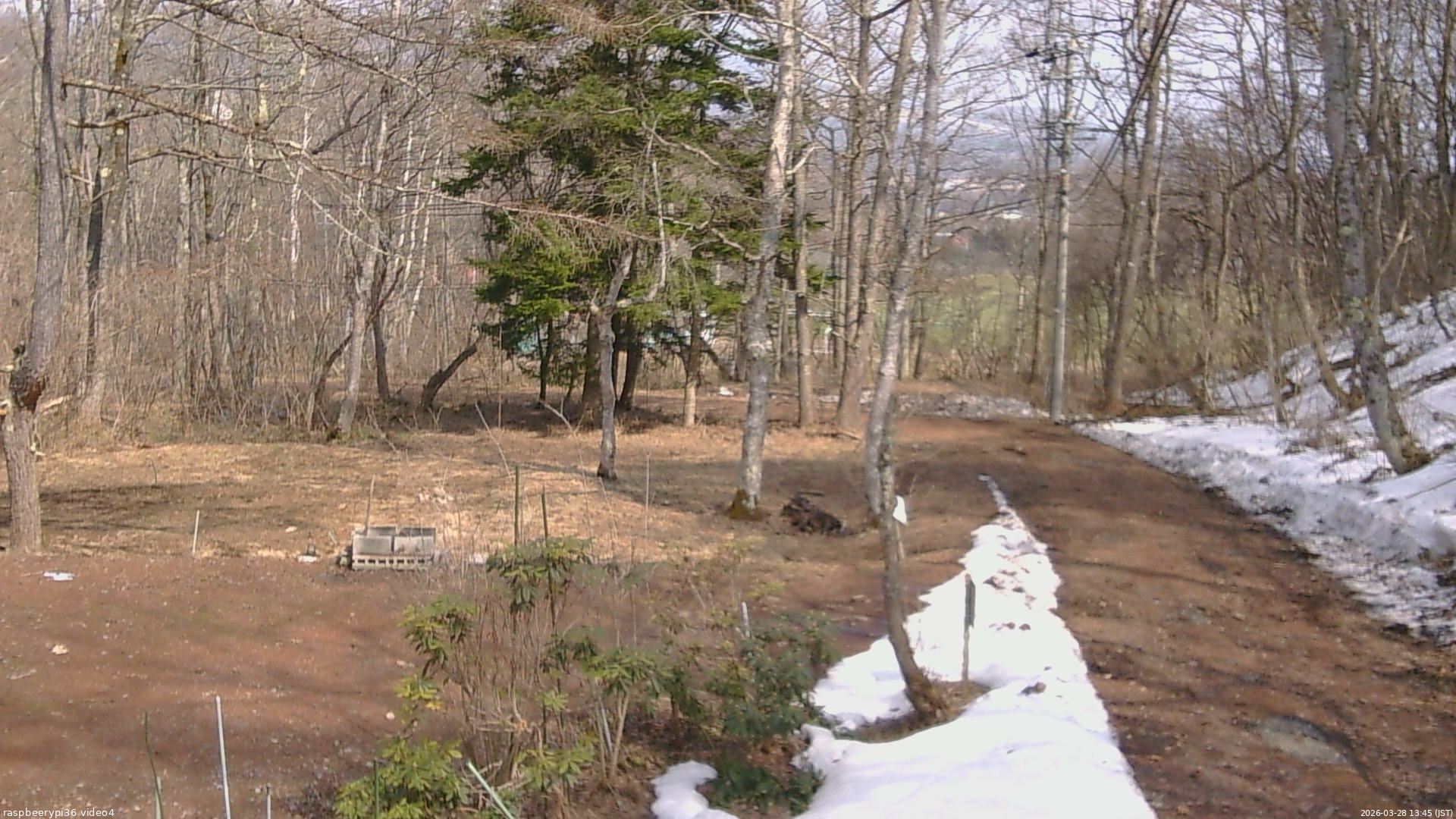 長野県菅平高原 ゆたか山荘 坂上 2026/03/28 13:45