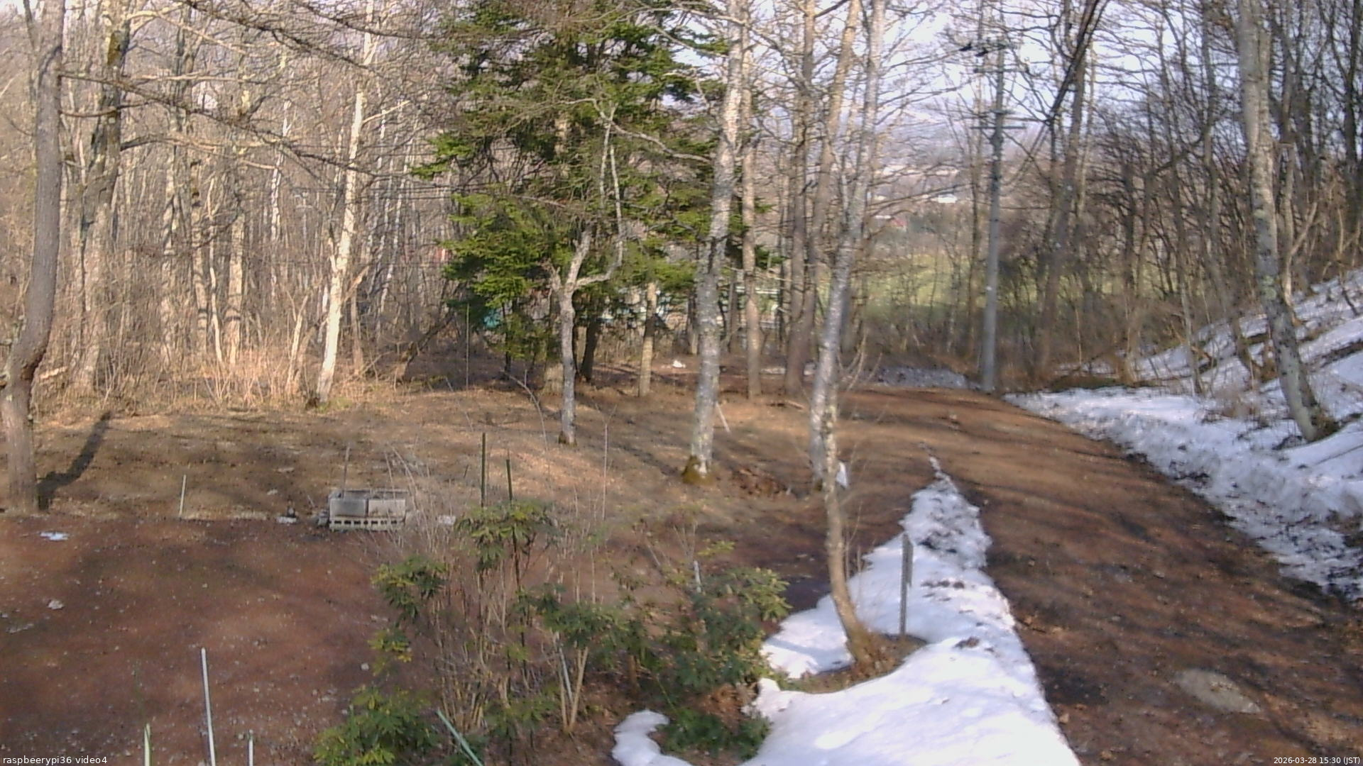 長野県菅平高原 ゆたか山荘 坂上 2026/03/28 15:30