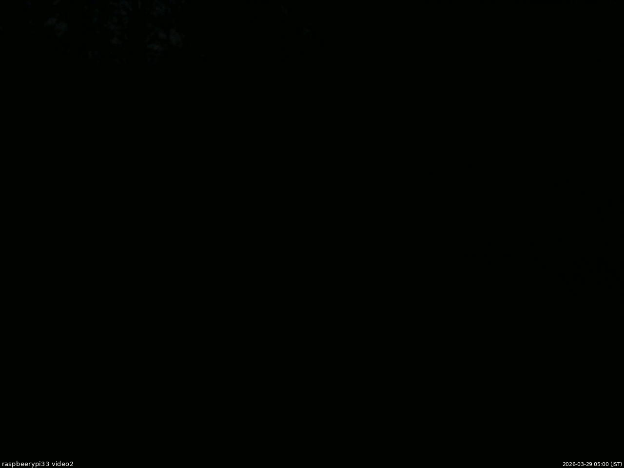 長野県菅平高原 ゆたか山荘 南側 2026/03/29 05:00