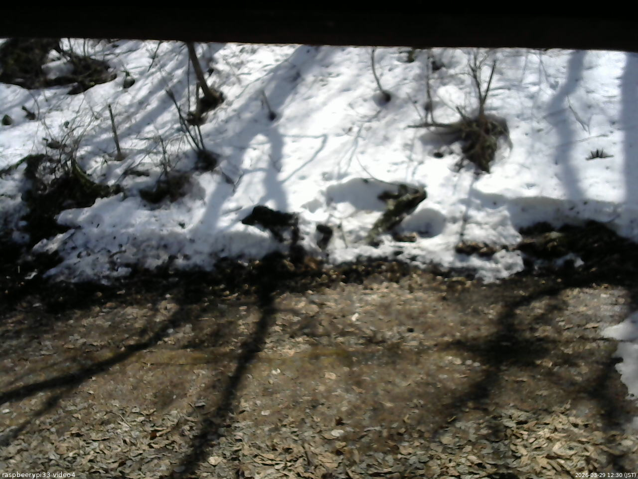 長野県菅平高原 ゆたか山荘 東側(坂下) 2026/03/29 12:30