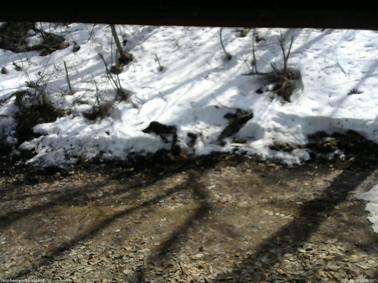 長野県菅平高原 ゆたか山荘 東側(坂下) 2026/03/29 13:30