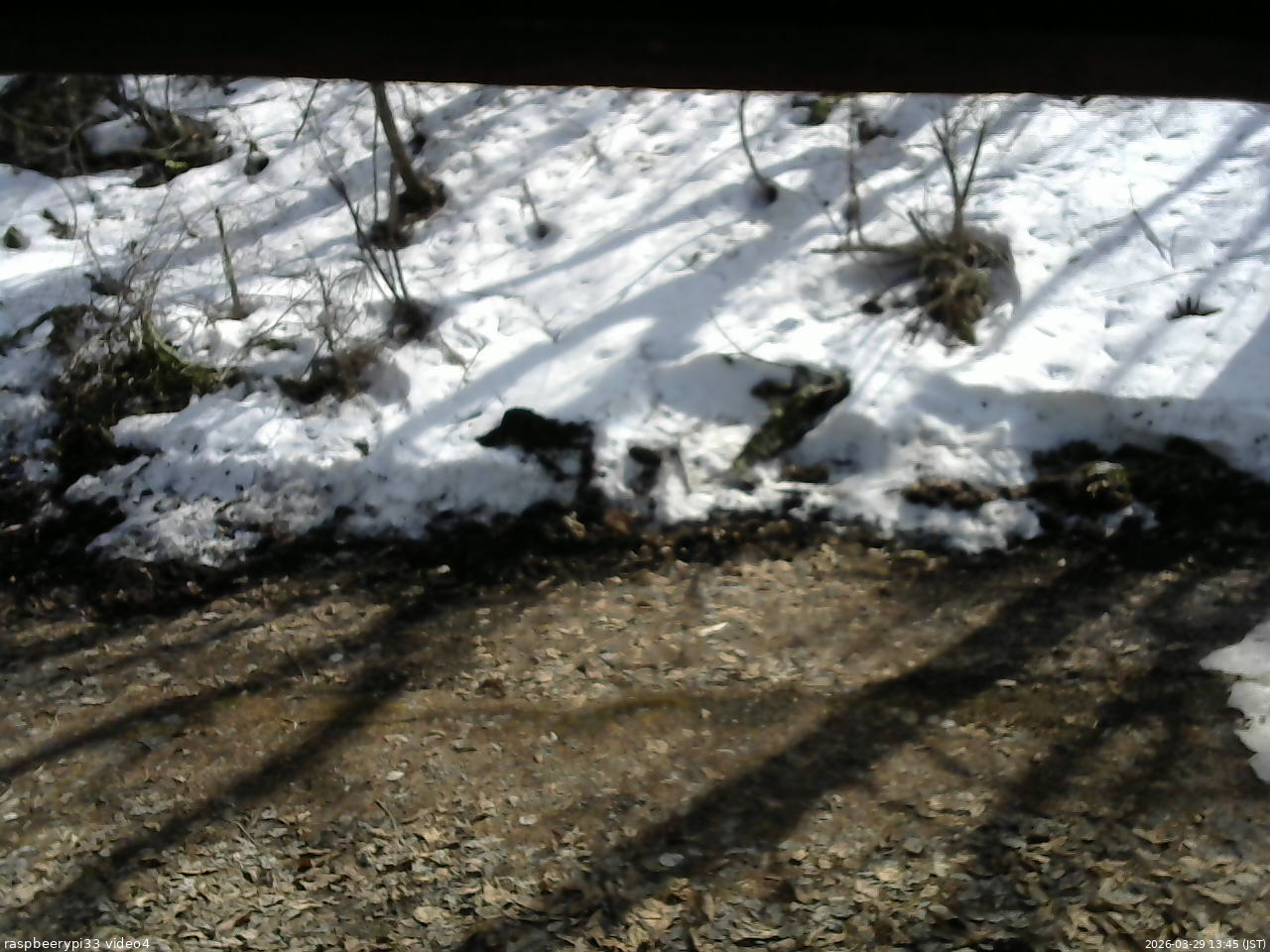 長野県菅平高原 ゆたか山荘 東側(坂下) 2026/03/29 13:45