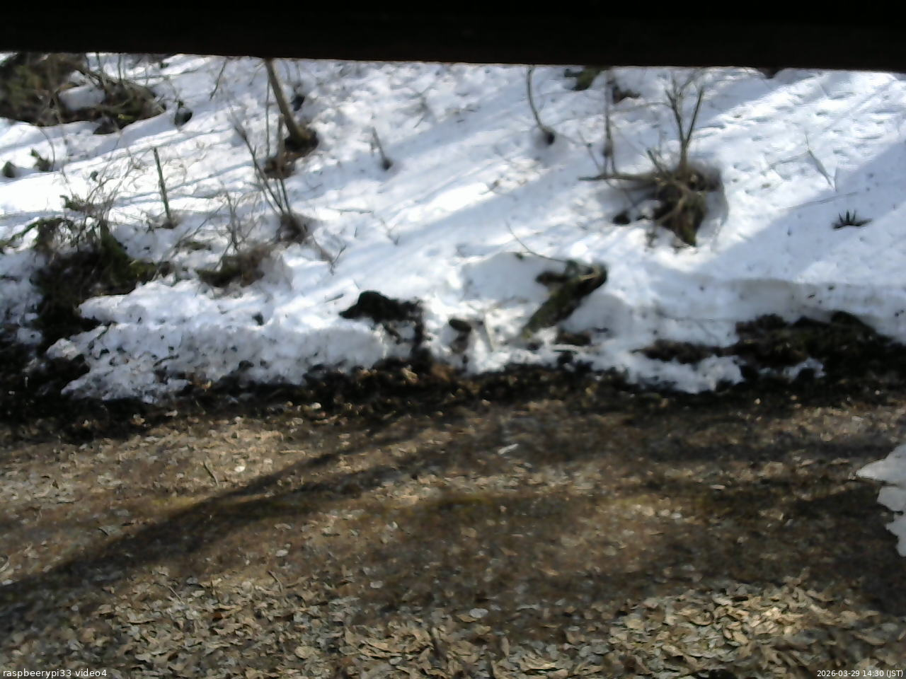 長野県菅平高原 ゆたか山荘 東側(坂下) 2026/03/29 14:30