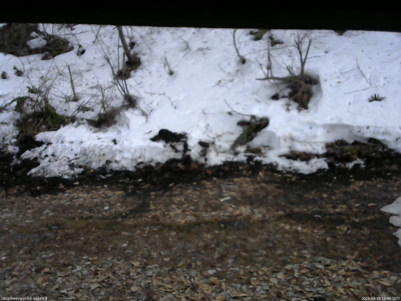 長野県菅平高原 ゆたか山荘 東側(坂下) 2026/03/29 15:45