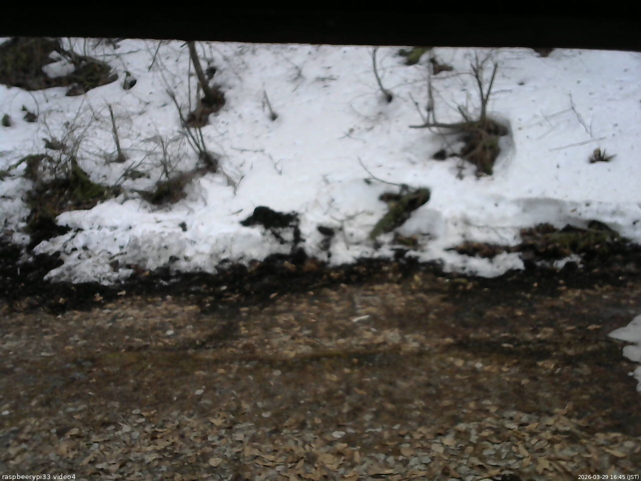 長野県菅平高原 ゆたか山荘 東側(坂下) 2026/03/29 16:45