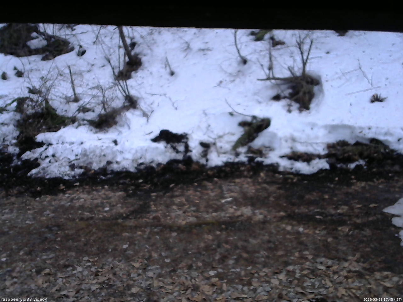 長野県菅平高原 ゆたか山荘 東側(坂下) 2026/03/29 17:45