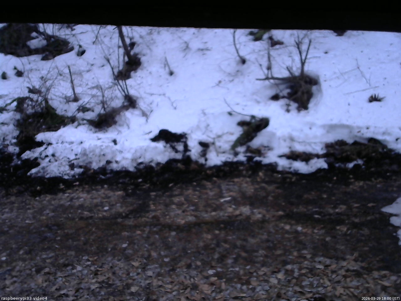 長野県菅平高原 ゆたか山荘 東側(坂下) 2026/03/29 18:00