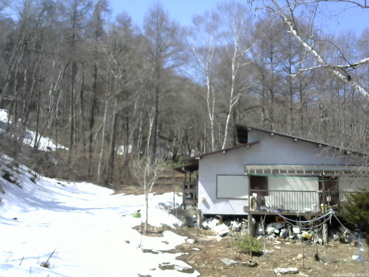 長野県菅平高原 ゆたか山荘 西側(坂上) 2026/03/29 11:00