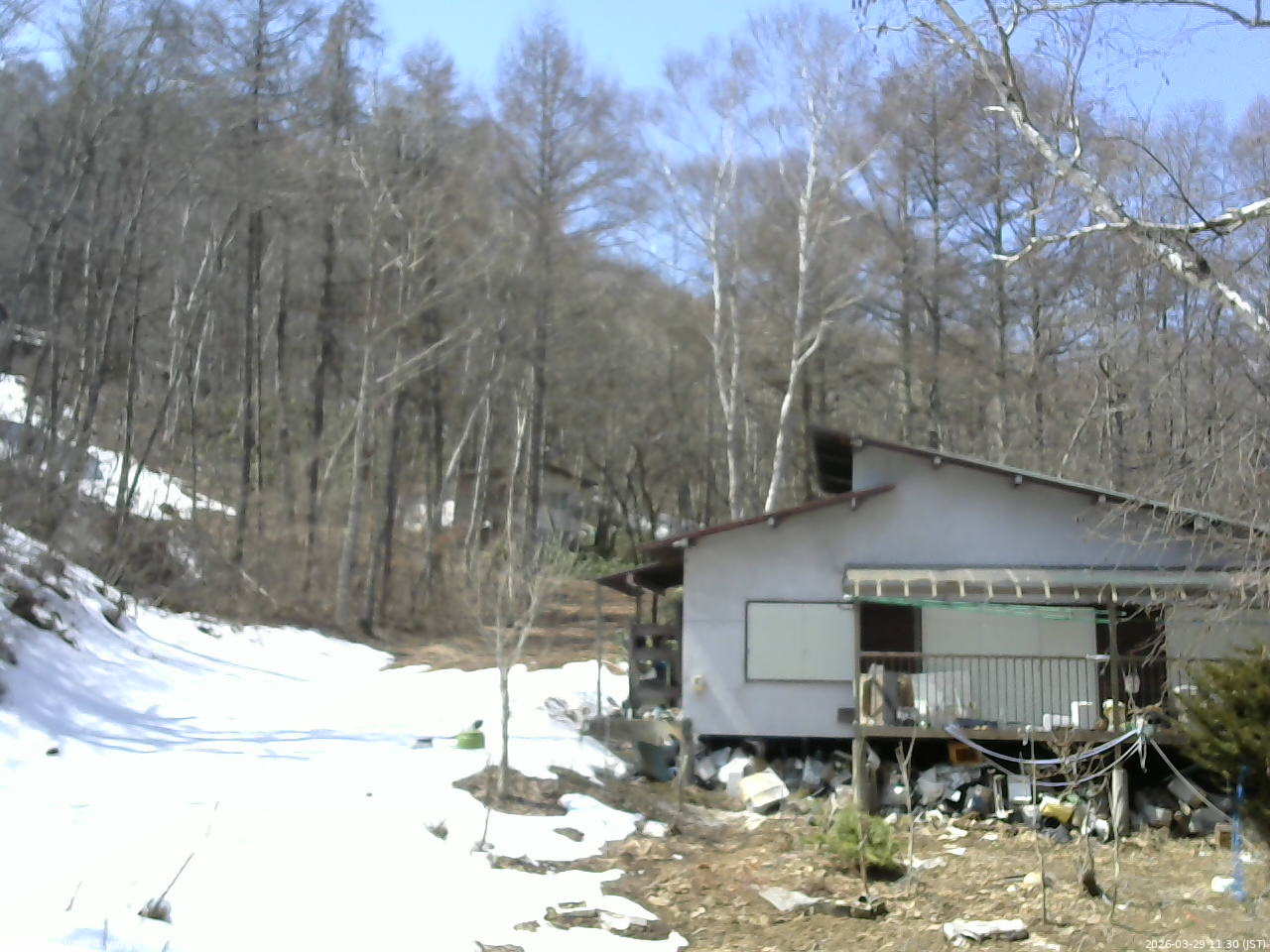 長野県菅平高原 ゆたか山荘 西側(坂上) 2026/03/29 11:30