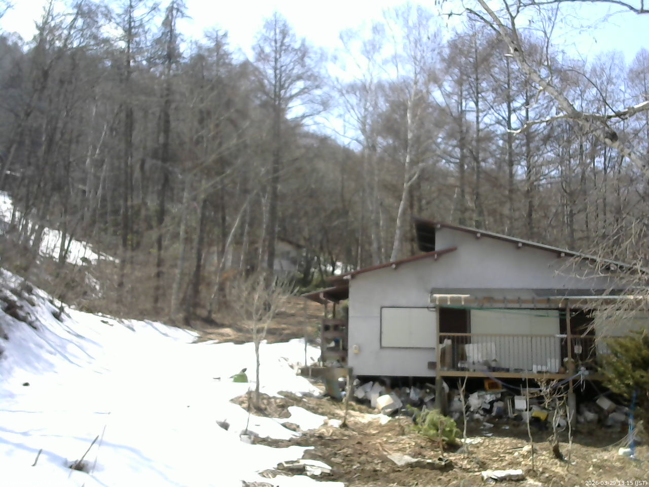 長野県菅平高原 ゆたか山荘 西側(坂上) 2026/03/29 13:15