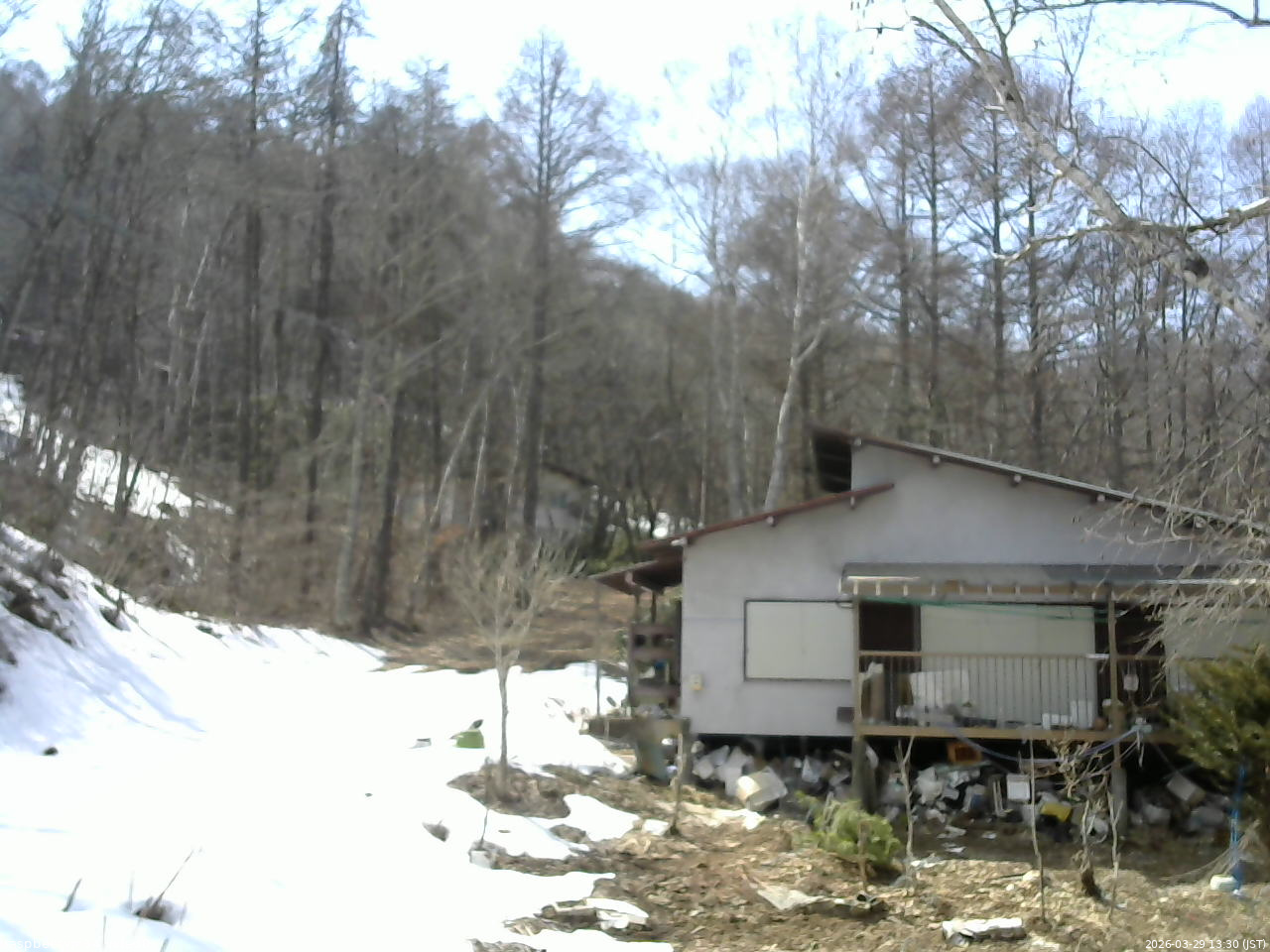 長野県菅平高原 ゆたか山荘 西側(坂上) 2026/03/29 13:30