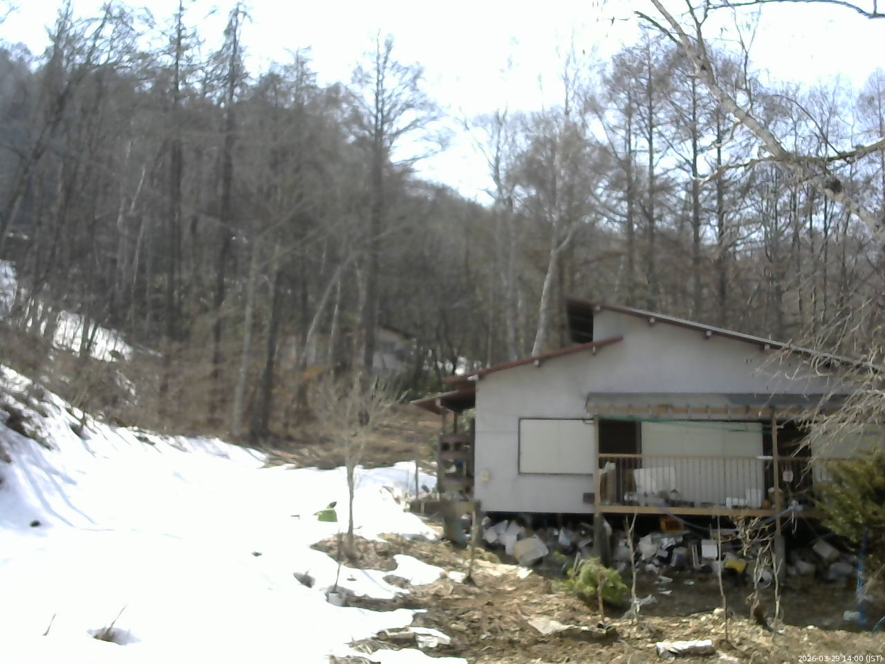 長野県菅平高原 ゆたか山荘 西側(坂上) 2026/03/29 14:00