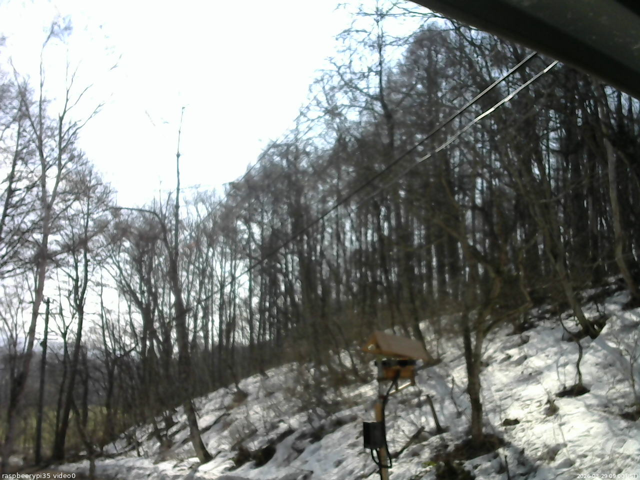 長野県菅平高原 ゆたか山荘 温度計 2026/03/29 09:00