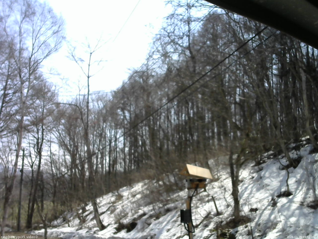 長野県菅平高原 ゆたか山荘 温度計 2026/03/29 10:30