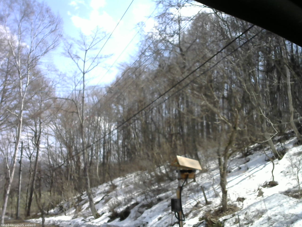 長野県菅平高原 ゆたか山荘 温度計 2026/03/29 12:30
