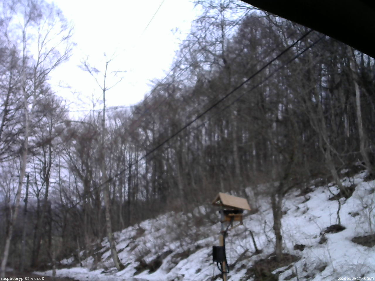 長野県菅平高原 ゆたか山荘 温度計 2026/03/29 17:45