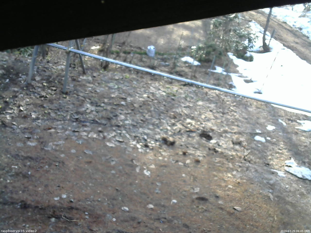 長野県菅平高原 ゆたか山荘 駐車場 2026/03/29 06:45