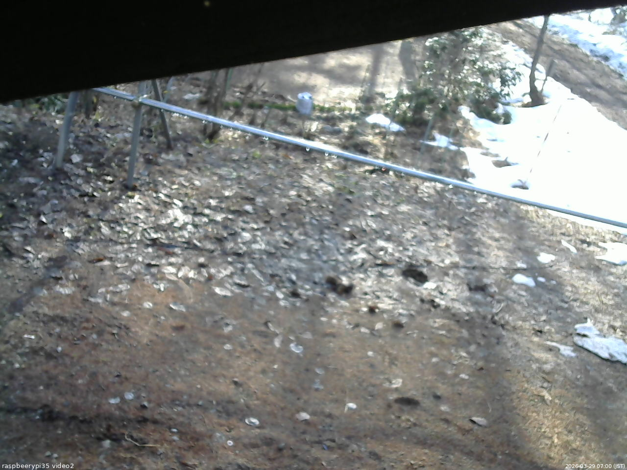 長野県菅平高原 ゆたか山荘 駐車場 2026/03/29 07:00