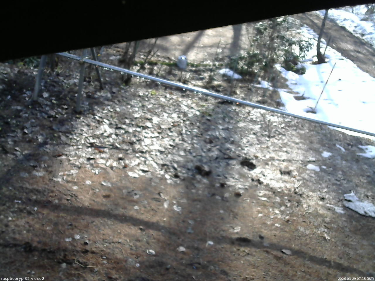 長野県菅平高原 ゆたか山荘 駐車場 2026/03/29 07:15
