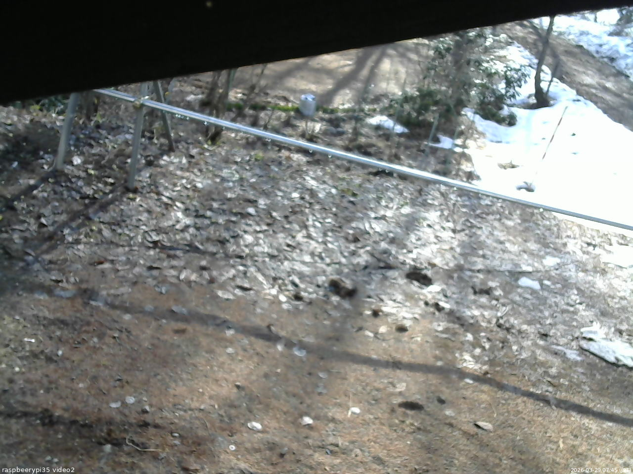 長野県菅平高原 ゆたか山荘 駐車場 2026/03/29 07:45
