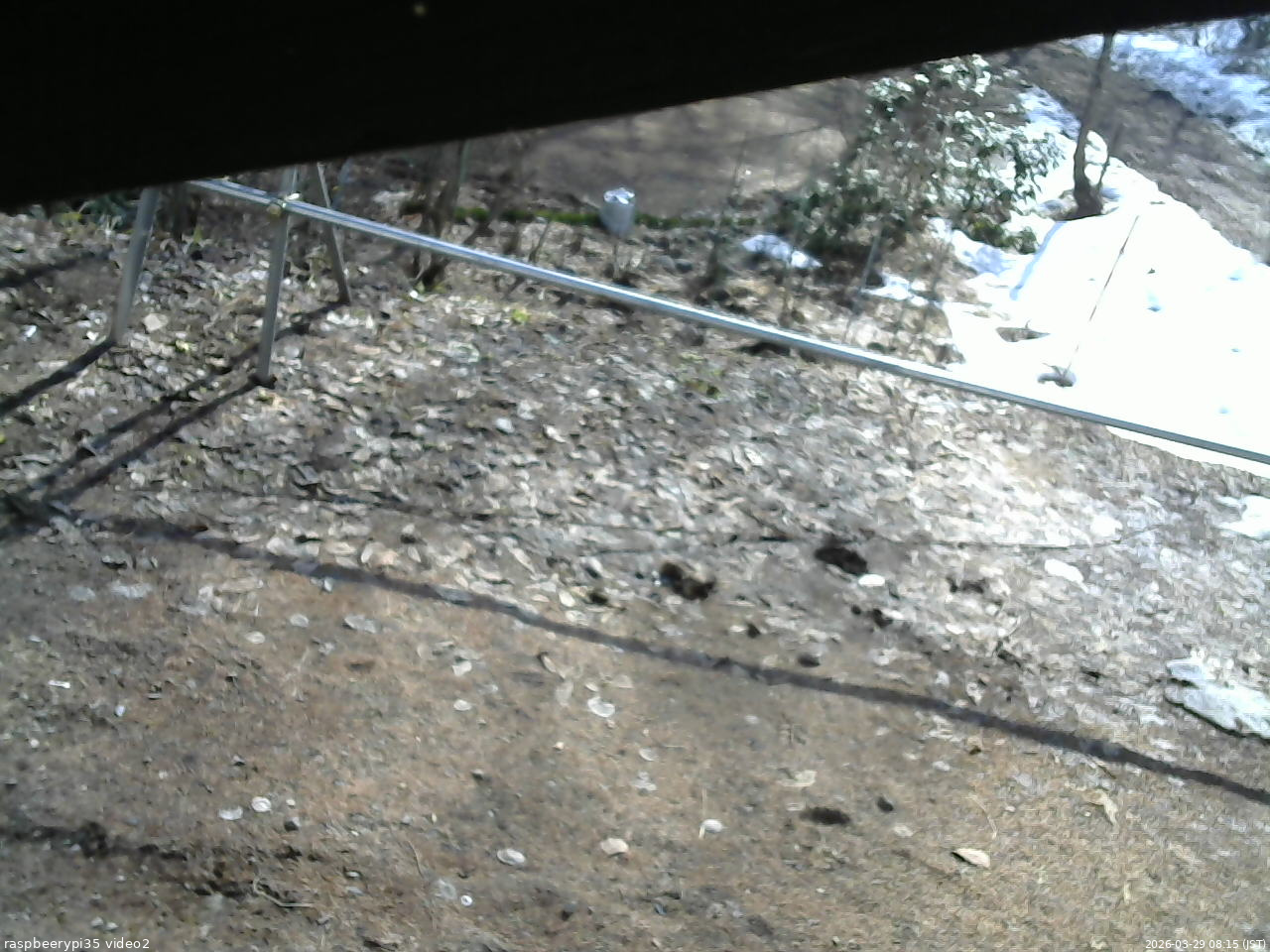 長野県菅平高原 ゆたか山荘 駐車場 2026/03/29 08:15