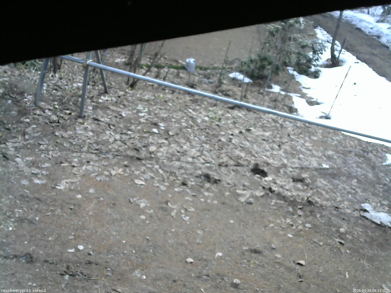長野県菅平高原 ゆたか山荘 駐車場 2026/03/29 09:15