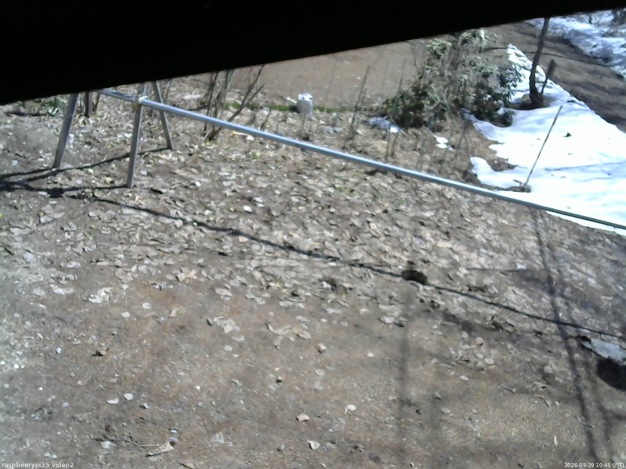 長野県菅平高原 ゆたか山荘 駐車場 2026/03/29 10:45