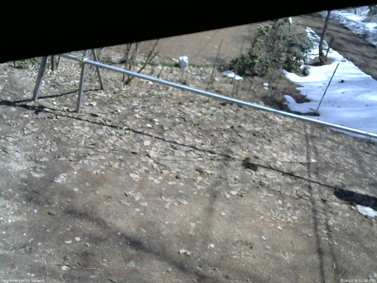 長野県菅平高原 ゆたか山荘 駐車場 2026/03/29 11:30