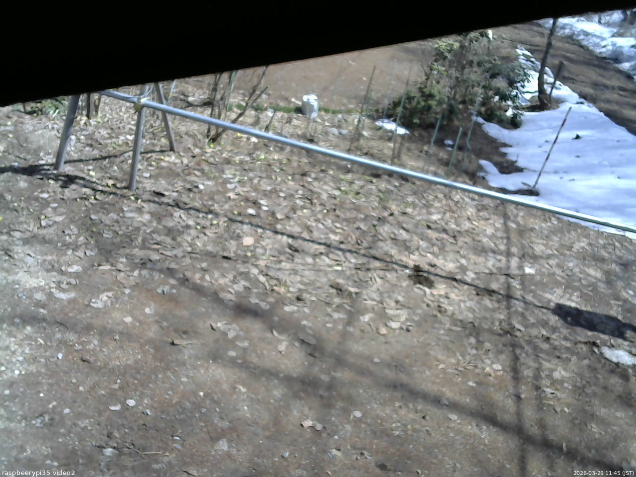 長野県菅平高原 ゆたか山荘 駐車場 2026/03/29 11:45