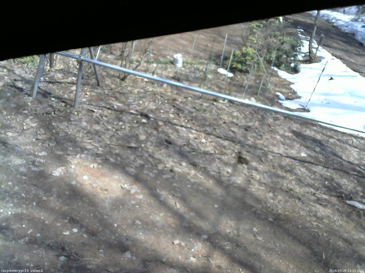 長野県菅平高原 ゆたか山荘 駐車場 2026/03/29 13:15