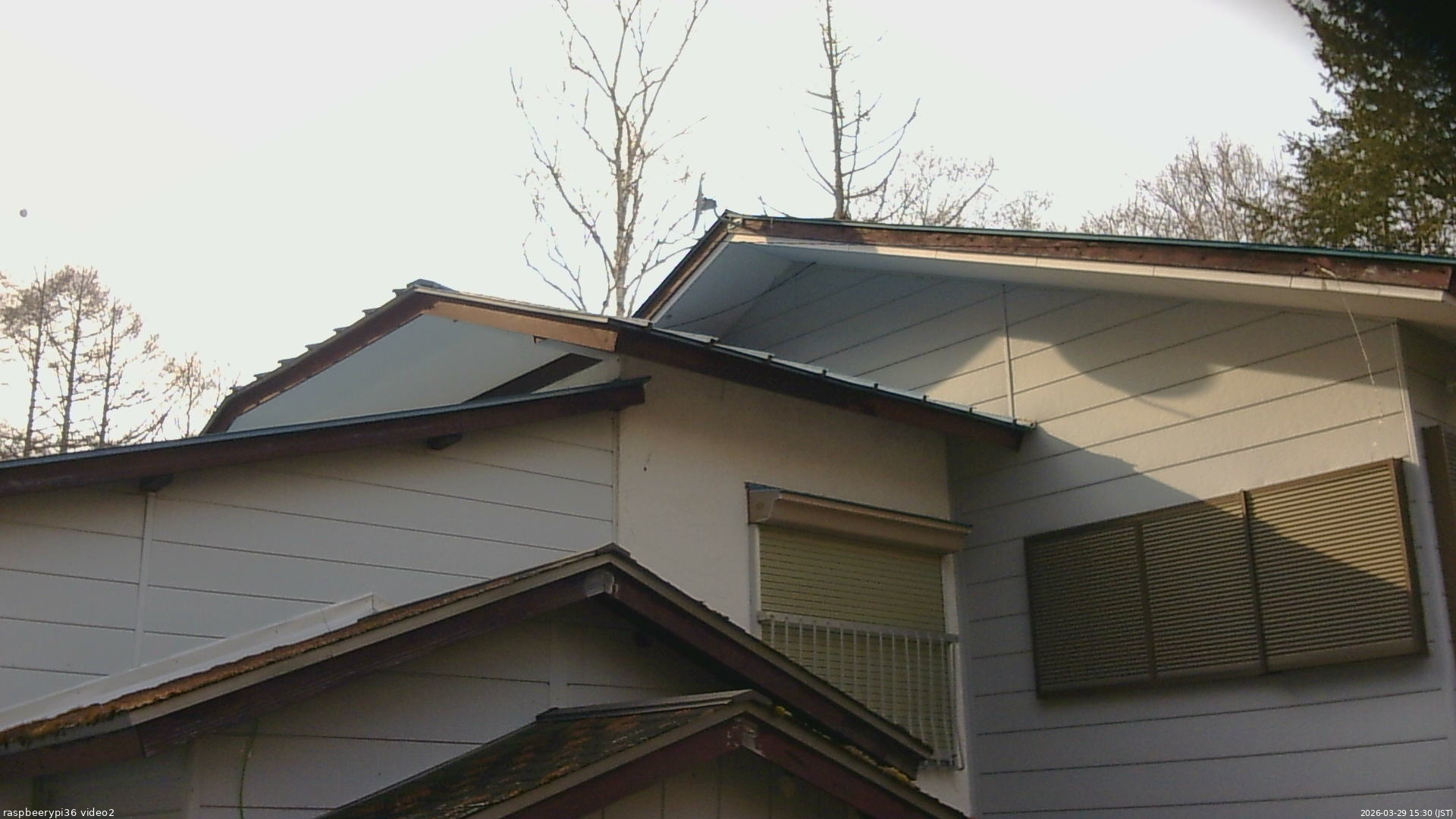 長野県菅平高原 ゆたか山荘 駐車場奥 2026/03/29 15:30