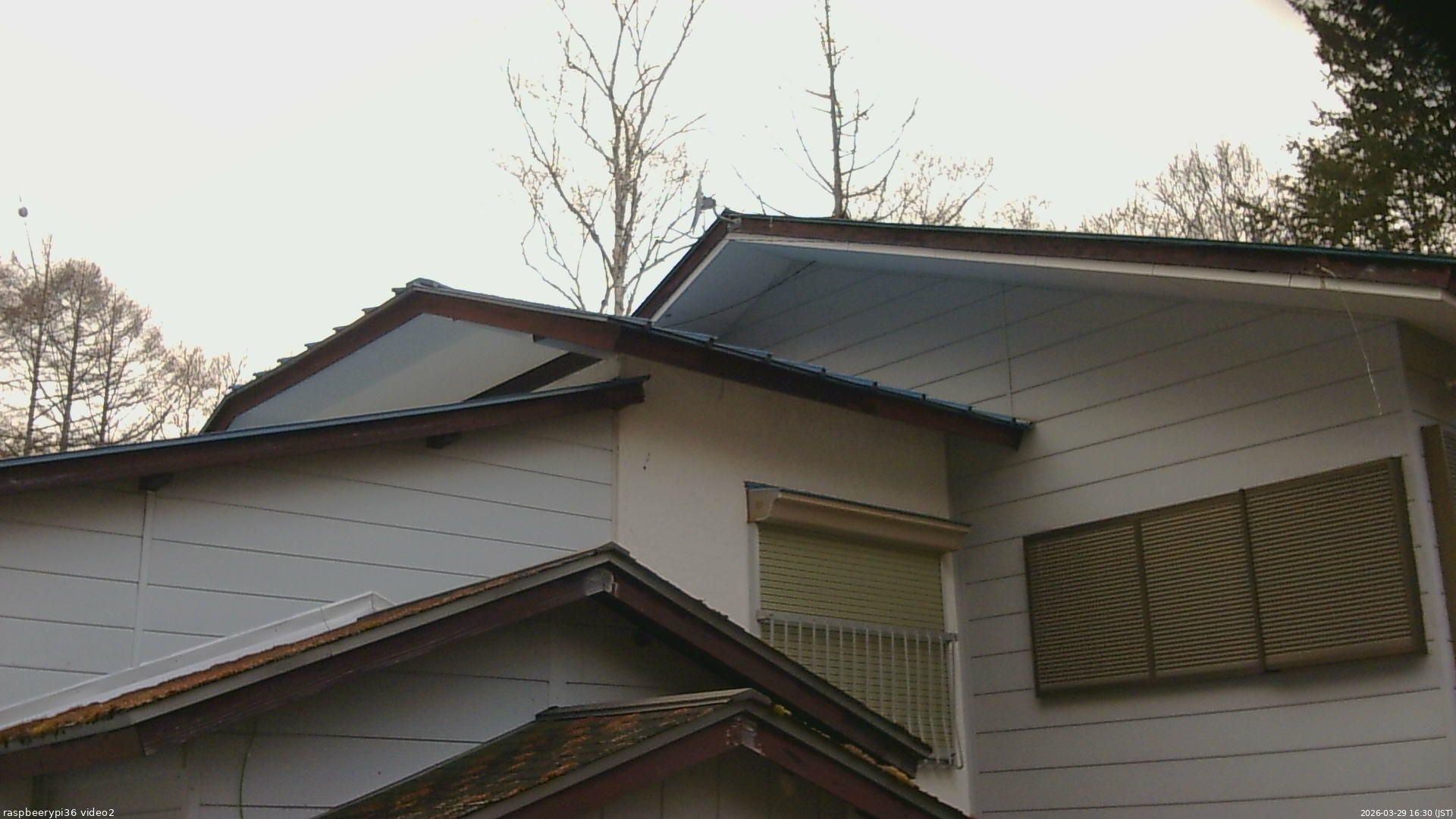 長野県菅平高原 ゆたか山荘 駐車場奥 2026/03/29 16:30